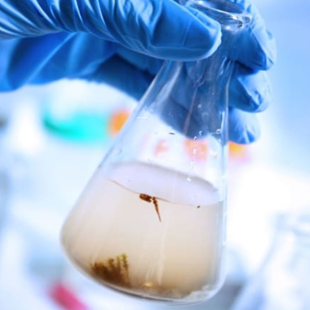 Water Quality Testing hkteck lab (10)